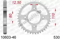 AF21060346, Afam, Ktw trasero acero 46t, 530    , Nuevo