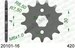 Here you can order the ktw front 16t, 420 from Afam, with part number AF12010116: