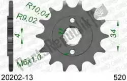 Here you can order the ktw front 13t, 520 from Afam, with part number AF12020213: