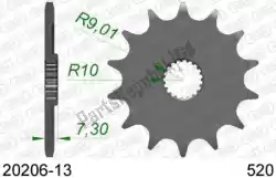 Here you can order the ktw front 13t, 520 from Afam, with part number AF12020613:
