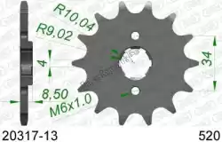Here you can order the ktw front 13t, 520 from Afam, with part number AF12031713: