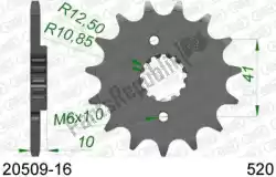 Here you can order the ktw front 16t, 520 from Afam, with part number AF12050916: