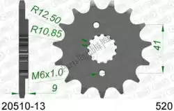 Here you can order the ktw front 13t, 520 from Afam, with part number AF12051013: