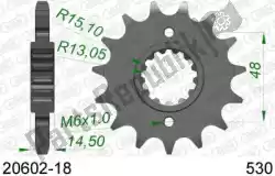 Here you can order the ktw front 18t, 530 from Afam, with part number AF12060218: