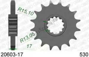 AFAM AF12060317 ktw anteriore 17t, 530 - Il fondo