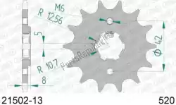 Here you can order the ktw front 13t, 520 from Afam, with part number AF12150213: