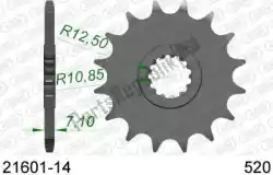 Here you can order the ktw front 14t, 520 from Afam, with part number AF12160114:
