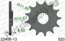 Here you can order the ktw front 13t, 520 from Afam, with part number AF12240613: