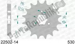 Here you can order the ktw front 14t, 530 from Afam, with part number AF12250214: