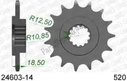 Here you can order the ktw front 14t, 520 from Afam, with part number AF12460314:
