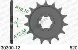 Here you can order the ktw front 12t, 520 from Afam, with part number AF13030012: