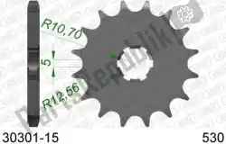 Here you can order the ktw front 15t, 530 from Afam, with part number AF13030115: