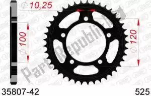 AFAM AF23580742 ktw posteriore in acciaio 42t, 525 - Il fondo