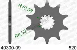 Here you can order the ktw front 9t, 520 from Afam, with part number AF14030009: