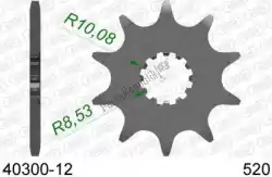 Here you can order the ktw front 12t, 520 from Afam, with part number AF14030012: