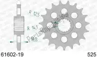 AF16160219, Afam, Ktw anteriore 19t, 525    , Nuovo