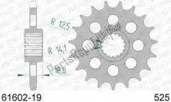 Here you can order the ktw front 19t, 525 from Afam, with part number AF16160219:
