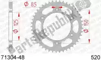 AF27130448, Afam, Ktw rear steel 48t, 520    , New