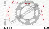 AF27130453, Afam, Ktw rear steel 53t, 520    , New