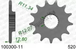 Here you can order the ktw front 11t, 520 from Afam, with part number AF110030011: