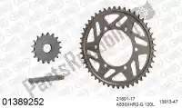 39001389252, Afam, Chain kit chain kit, aluminum    , New