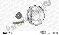 39001413163, Afam, Chain kit chain kit, steel    , New