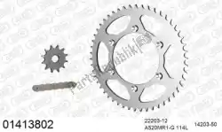 Here you can order the chain kit chain kit, steel from Afam, with part number 39001413802: