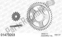39001473203, Afam, Chain kit chain kit, steel    , New