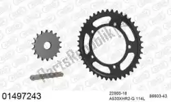 ketting kit chainkit, steel van Afam, met onderdeel nummer 39001497243, bestel je hier online: