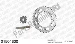 AFAM 39001504800 kit de cadena kit de cadena, aluminio - Lado inferior