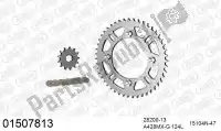 39001507813, Afam, Kit de cadena kit de cadena, aluminio    , Nuevo