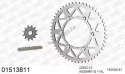 Here you can order the chain kit chain kit, aluminum from Afam, with part number 39001513811: