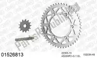 39001526813, Afam, Kit de cadena kit de cadena, aluminio    , Nuevo