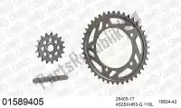 39001589405, Afam, Ketting kit chainkit, alu    , Nieuw