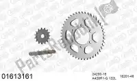 39001613161, Afam, Kit chaine kit chaine, acier    , Nouveau