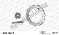 39001613601, Afam, Kit chaine kit chaine, acier    , Nouveau