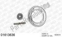 39001613636, Afam, Kit catena kit catena, acciaio racing    , Nuovo