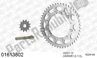 39001613802, Afam, Kit de cadena kit de cadena, acero    , Nuevo