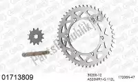 39001713809, Afam, Kit de cadena kit de cadena, aluminio    , Nuevo