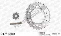 39001713809, Afam, Ketting kit chainkit, alu    , Nieuw