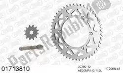 Here you can order the chain kit chain kit, aluminum from Afam, with part number 39001713810: