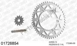 Aquí puede pedir kit de cadena kit de cadena, aluminio de Afam , con el número de pieza 39001726854: