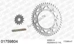 Aquí puede pedir kit de cadena kit de cadena, aluminio de Afam , con el número de pieza 39001759804: