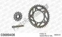 39003689406, Afam, Kit catena kit catena, alu racing    , Nuovo