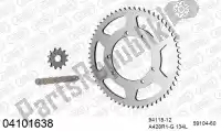 39004101638, Afam, Kit de cadena kit de cadena, acero    , Nuevo