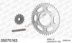 Here you can order the chain kit chain kit, steel from Afam, with part number 39005070163: