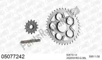 39005077242, Afam, Kit de cadena kit de cadena, acero    , Nuevo
