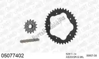 39005077402, Afam, Kit de cadena kit de cadena, acero    , Nuevo
