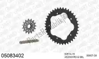 39005083402, Afam, Chain kit chain kit, steel    , New