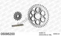 Aqui você pode pedir o kit de corrente kit de corrente, aço em Afam , com o número da peça 39005095200: